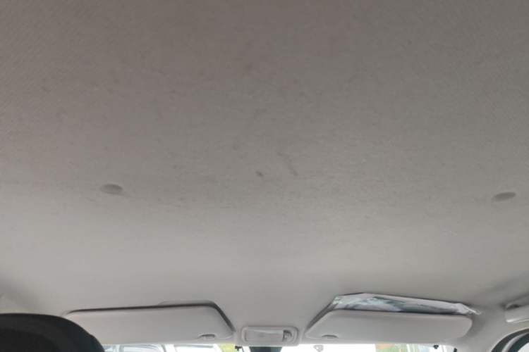 Used Wuling Hongguang MINIEV 2020 Freedom Version Lithium Iron Phosphate Headliner