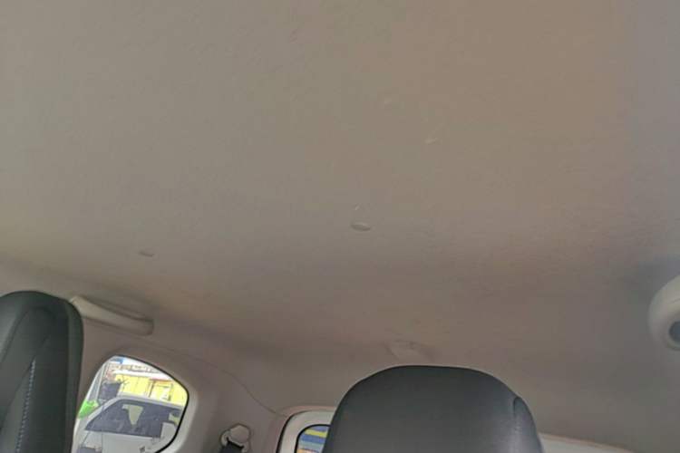 Used Wuling Hongguang MINIEV 2020 Freedom Version Lithium Iron Phosphate Headliner