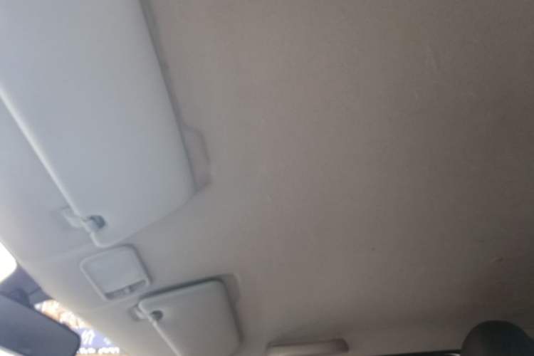 Used Wuling Hongguang MINIEV 2020 Enjoyment Model Lithium Iron Phosphate Headliner