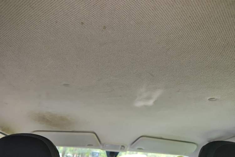 Used Wuling Hongguang MINIEV 2020 Enjoyment Model Lithium Iron Phosphate Headliner