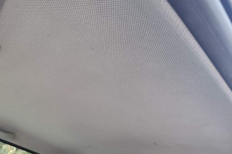 Used Wuling Hongguang MINIEV 2020 Freedom Version Lithium Iron Phosphate Headliner