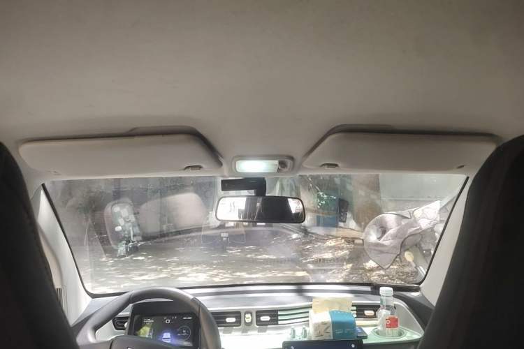 Used Wuling Hongguang MINIEV 2020 Enjoyment Model Lithium Iron Phosphate Headliner