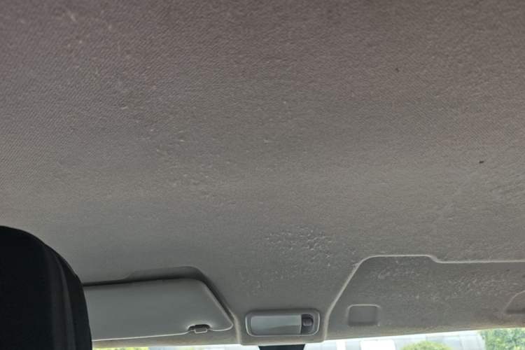 Used Wuling Hongguang MINIEV 2020 Freedom Version Lithium Iron Phosphate Headliner