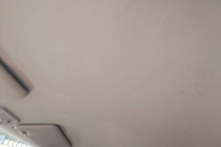 Used Wuling Hongguang MINIEV 2020 Freedom Version Lithium Iron Phosphate Headliner