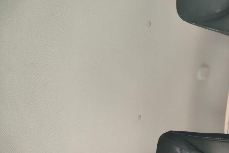 Used Wuling Hongguang MINIEV 2020 Zizai Version Lithium-NMC Headliner