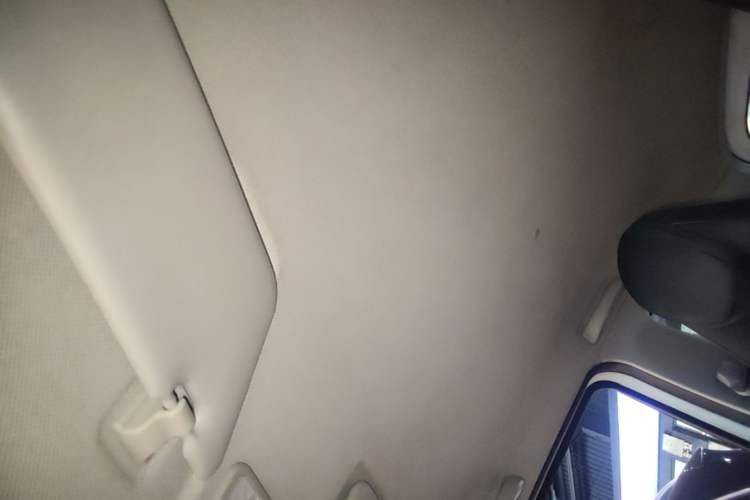 Used Wuling Hongguang MINIEV 2020 Enjoyment Model Lithium Iron Phosphate Headliner