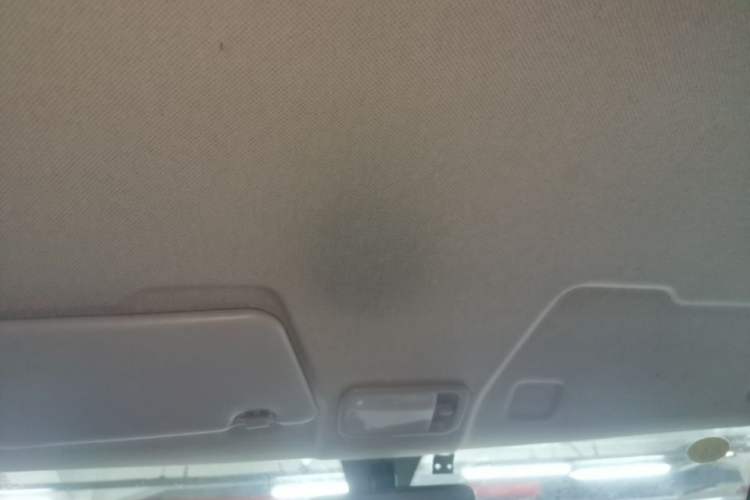 Used Wuling Hongguang MINIEV 2020 Freedom Version Lithium Iron Phosphate Headliner
