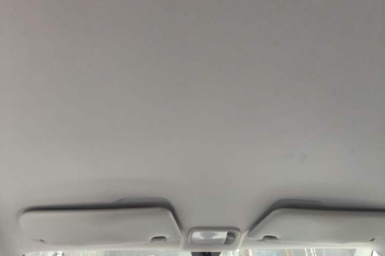 Used Wuling Hongguang MINIEV 2020 Enjoyment Model Lithium Iron Phosphate Headliner