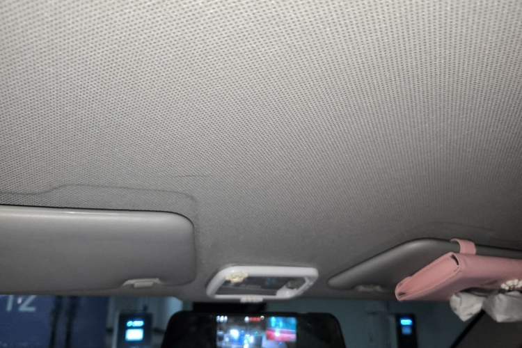 Used Wuling Hongguang MINIEV 2020 Enjoyment Model Lithium Iron Phosphate Headliner