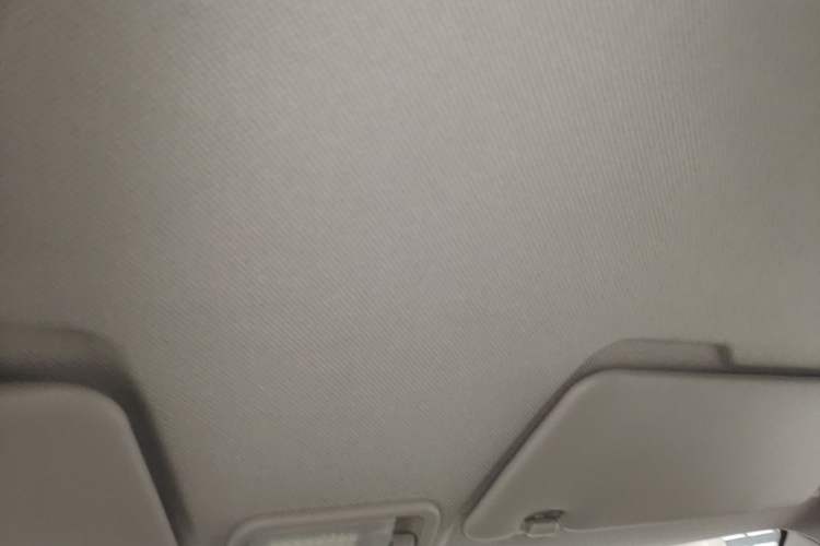Used Wuling Hongguang MINIEV 2020 Enjoyment Model Lithium Iron Phosphate Headliner