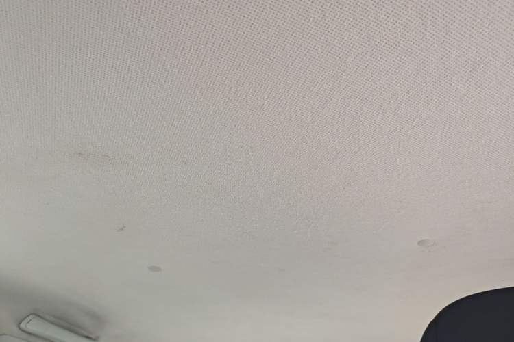 Used Wuling Hongguang MINIEV 2020 Zizai Version Lithium-NMC Headliner
