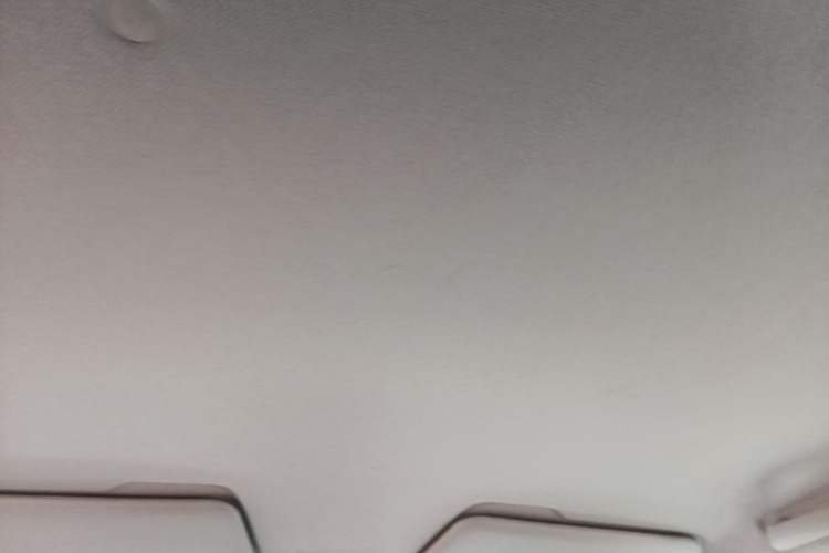 Used Wuling Hongguang MINIEV 2020 Freedom Version Lithium Iron Phosphate Headliner