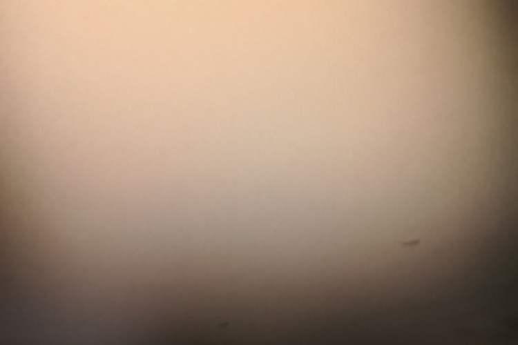 Used Wuling Hongguang MINIEV 2020 Enjoyment Model Lithium Iron Phosphate Headliner