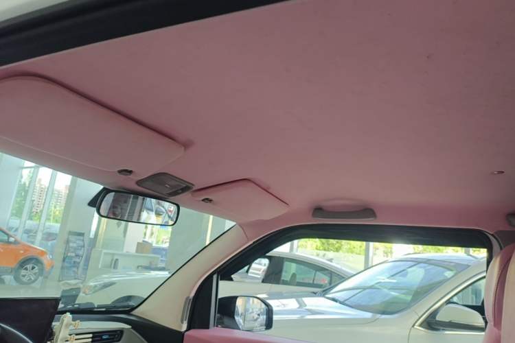 Used Wuling Hongguang MINIEV 2020 Enjoyment Model Lithium Iron Phosphate Headliner