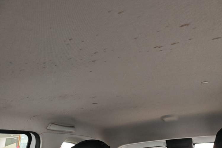 Used Wuling Hongguang MINIEV 2020 Enjoyment Model Lithium Iron Phosphate Headliner