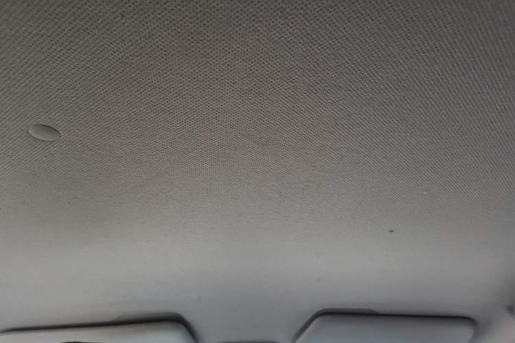 Used Wuling Hongguang MINIEV 2020 Enjoyment Model Lithium Iron Phosphate Headliner