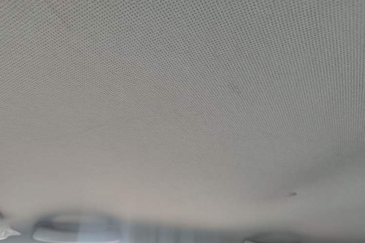 Used Wuling Hongguang MINIEV 2020 Enjoy Edition Lithium-Ion Battery Headliner