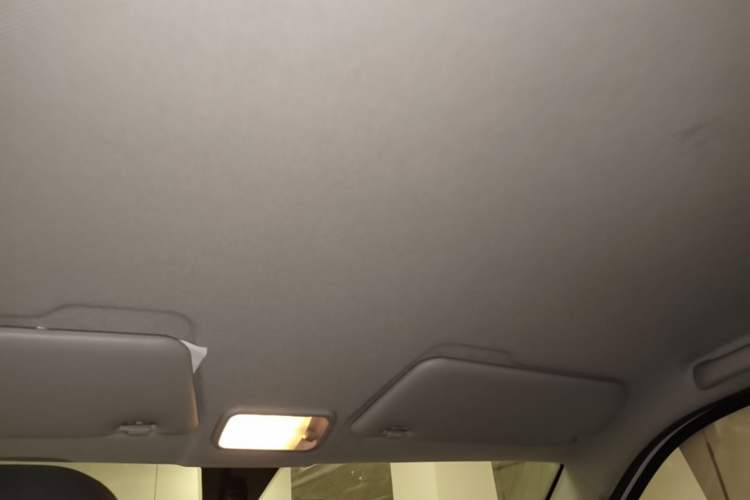 Used Wuling Hongguang MINIEV 2020 Freedom Version Lithium Iron Phosphate Headliner