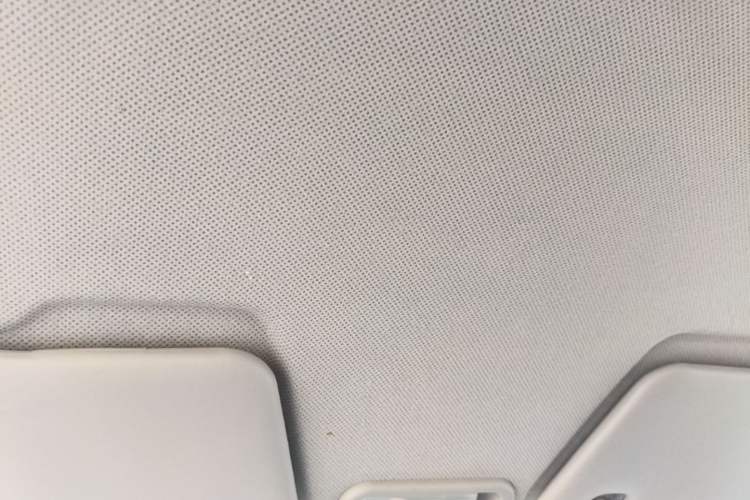 Used Wuling Hongguang MINIEV 2020 Enjoyment Model Lithium Iron Phosphate Headliner