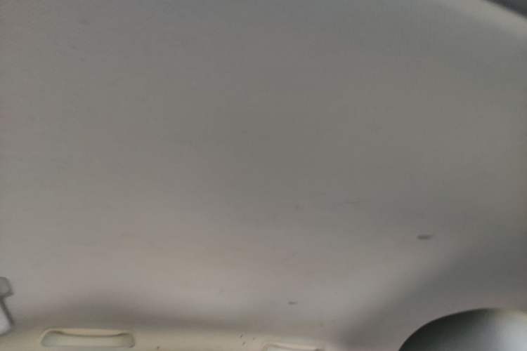 Used Wuling Hongguang MINIEV 2020 Enjoyment Model Lithium Iron Phosphate Headliner