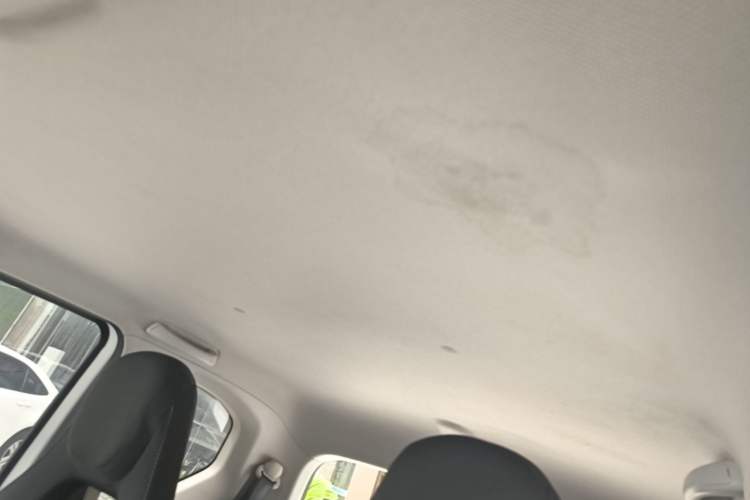 Used Wuling Hongguang MINIEV 2020 Enjoyment Model Lithium Iron Phosphate Headliner