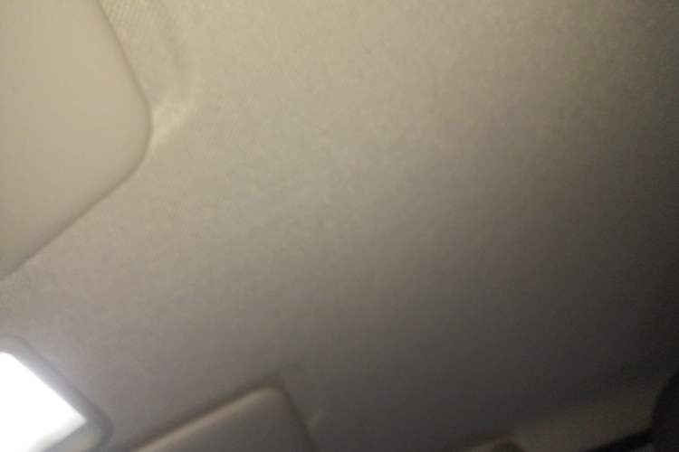Used Wuling Hongguang MINIEV 2020 Enjoyment Model Lithium Iron Phosphate Headliner