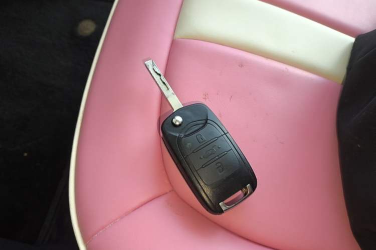 Used Wuling Hongguang MINIEV 2020 Enjoyment Model Lithium Iron Phosphate Interior 1