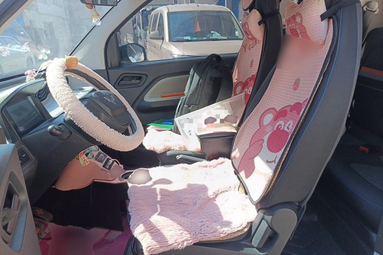 Used Wuling Hongguang MINIEV 2020 Enjoyment Model Lithium Iron Phosphate Left Front Seat