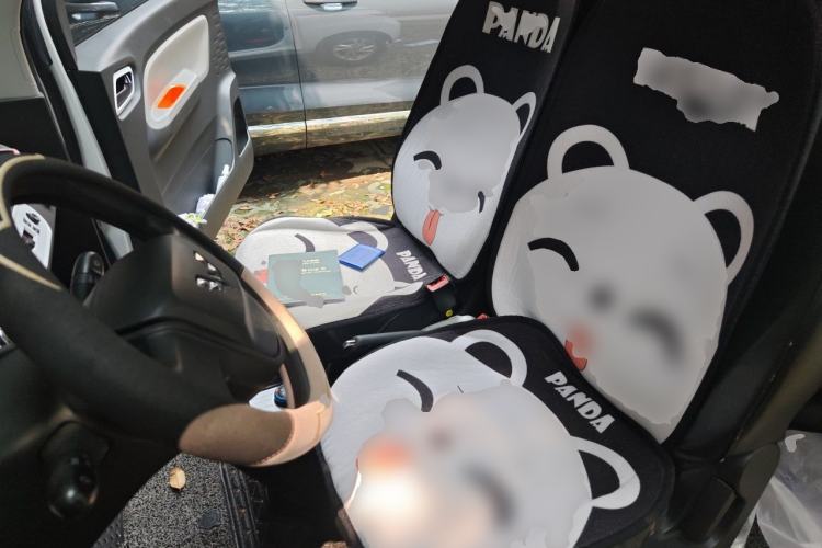 Used Wuling Hongguang MINIEV 2020 Enjoyment Model Lithium Iron Phosphate Left Front Seat