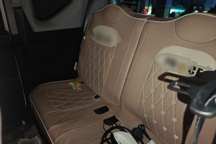 Used Wuling Hongguang MINIEV 2020 Freedom Version Lithium Iron Phosphate Left Rear Seat