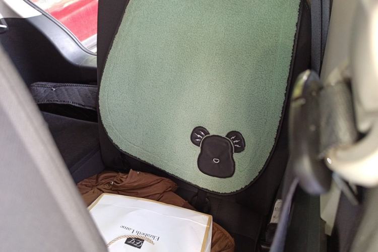 Used Wuling Hongguang MINIEV 2020 Enjoy Edition Lithium-Ion Battery Left Rear Seat