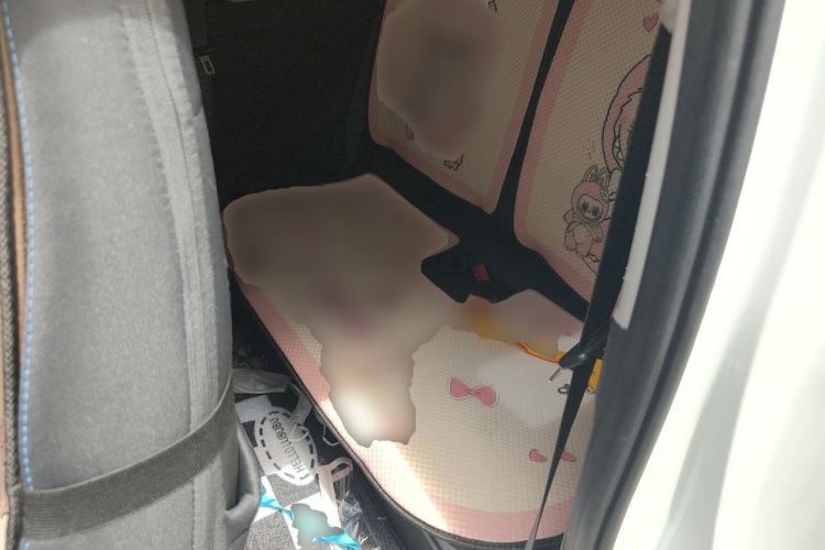 Used Wuling Hongguang MINIEV 2020 Enjoyment Model Lithium Iron Phosphate Left Rear Seat