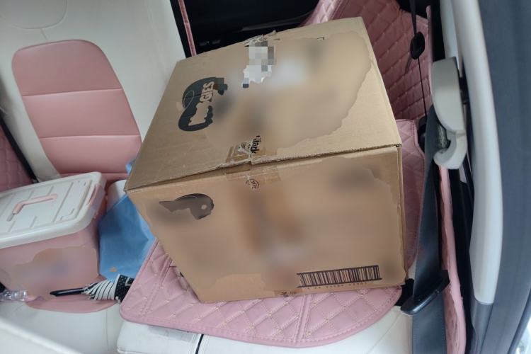 Used Wuling Hongguang MINIEV 2020 Enjoyment Model Lithium Iron Phosphate Left Rear Seat
