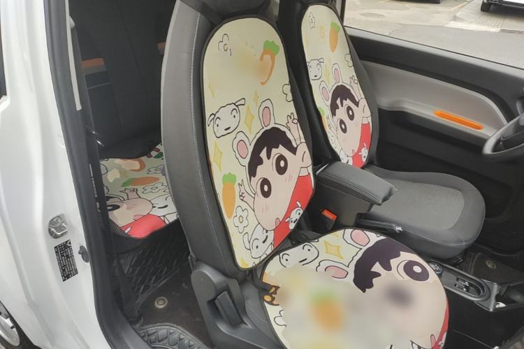 Used Wuling Hongguang MINIEV 2020 Enjoyment Model Lithium Iron Phosphate Right Front Seat
