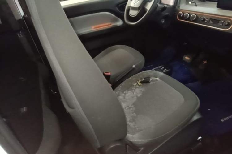 Used Wuling Hongguang MINIEV 2020 Enjoyment Model Lithium Iron Phosphate Right Front Seat