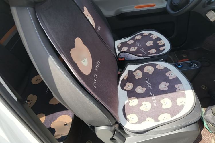 Used Wuling Hongguang MINIEV 2020 Enjoyment Model Lithium Iron Phosphate Right Front Seat