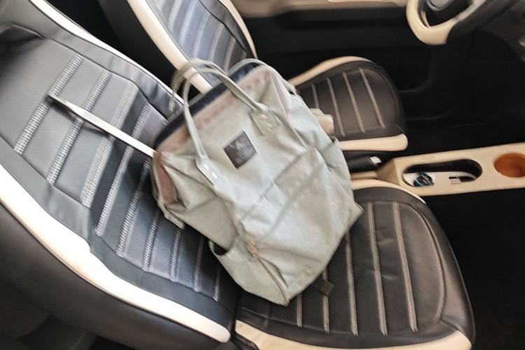 Used Wuling Hongguang MINIEV 2020 Enjoyment Model Lithium Iron Phosphate Right Front Seat
