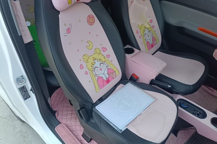 Used Wuling Hongguang MINIEV 2020 Freedom Version Lithium Iron Phosphate Right Front Seat