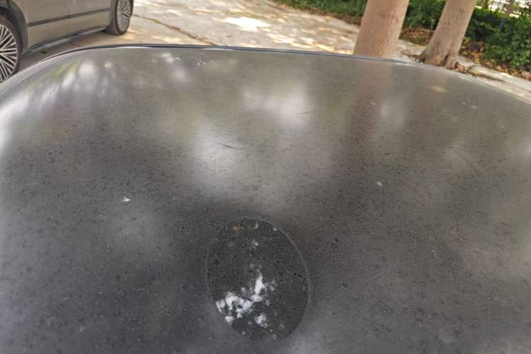 Used Wuling Hongguang MINIEV 2020 Freedom Version Lithium Iron Phosphate Roof