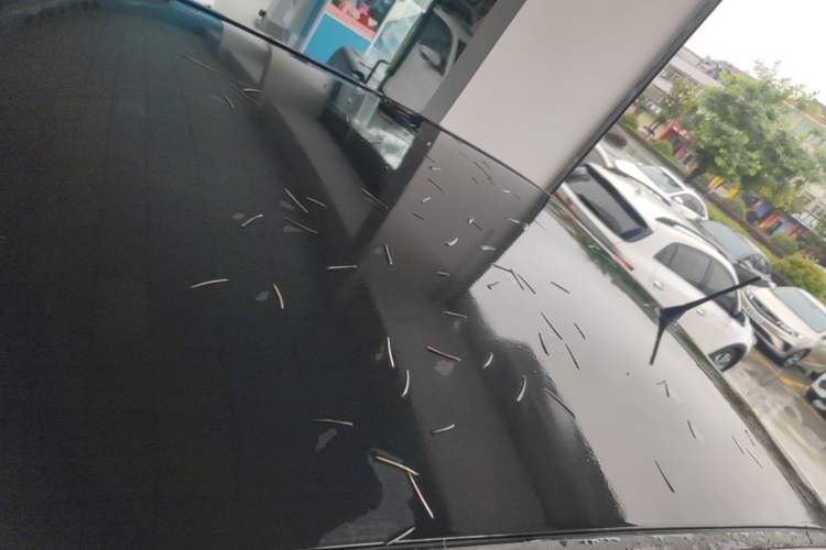 Used Wuling Hongguang MINIEV 2020 Zizai Version Lithium-NMC Roof