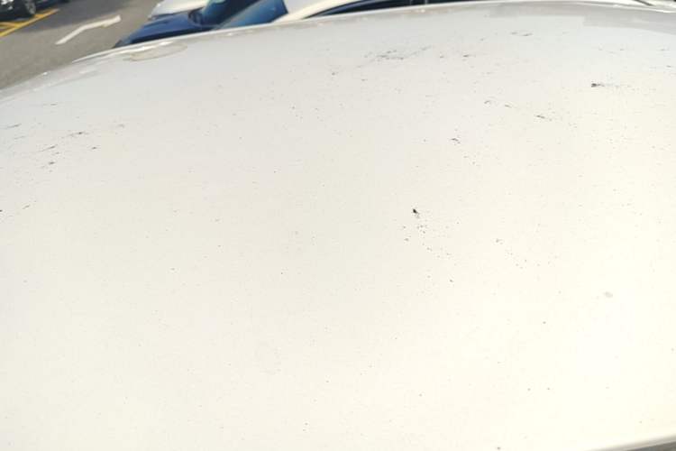 Used Wuling Hongguang MINIEV 2020 Freedom Version Lithium Iron Phosphate Roof