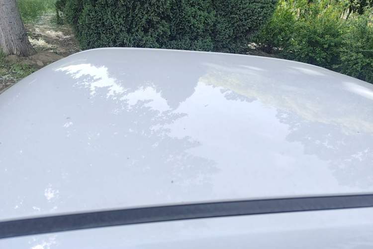 Used Wuling Hongguang MINIEV 2020 Freedom Version Lithium Iron Phosphate Roof