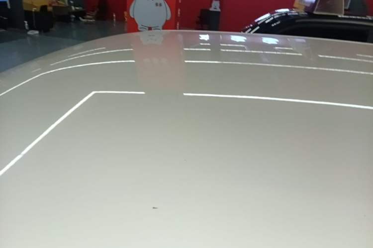 Used Wuling Hongguang MINIEV 2020 Enjoyment Model Lithium Iron Phosphate Roof