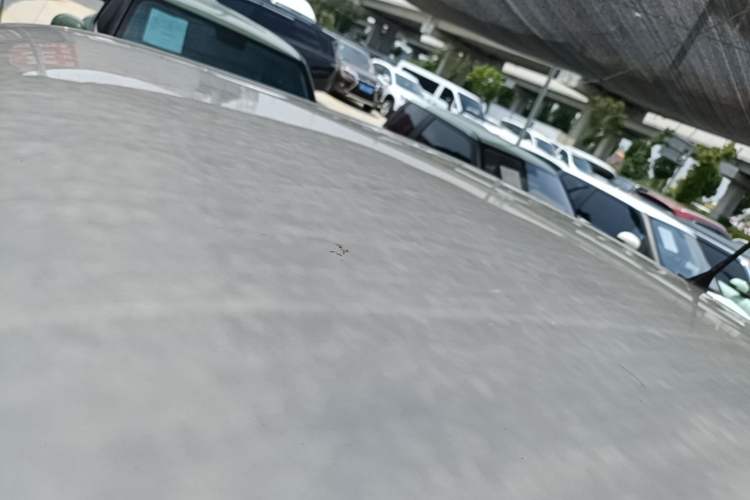 Used Wuling Hongguang MINIEV 2020 Zizai Version Lithium-NMC Roof