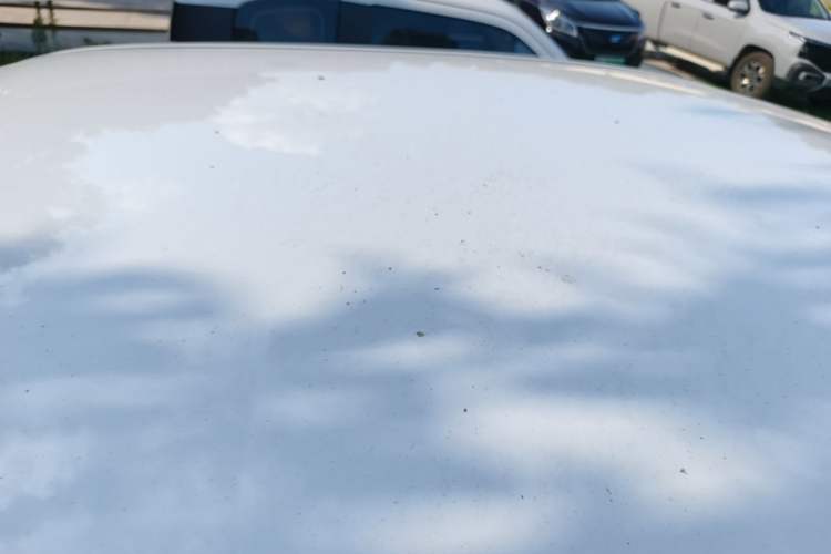 Used Wuling Hongguang MINIEV 2020 Enjoyment Model Lithium Iron Phosphate Roof