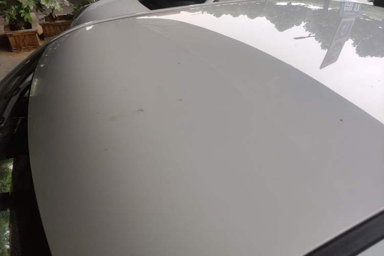 Used Wuling Hongguang MINIEV 2020 Enjoyment Model Lithium Iron Phosphate Roof