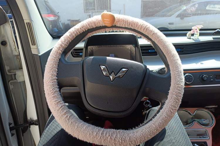 Used Wuling Hongguang MINIEV 2020 Enjoyment Model Lithium Iron Phosphate Steering Wheel