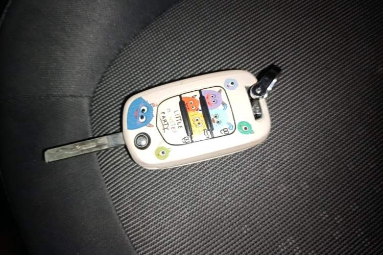 Used Wuling Hongguang MINIEV 2020 Freedom Version Lithium Iron Phosphate Vehicle Key