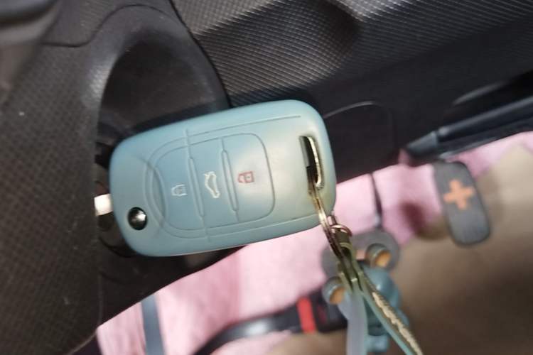 Used Wuling Hongguang MINIEV 2020 Easy Version Lithium-Ion Battery Vehicle Key