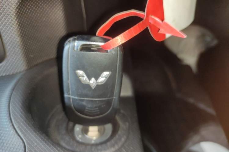 Used Wuling Hongguang MINIEV 2020 Freedom Version Lithium Iron Phosphate Vehicle Key